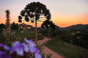 Monte Verde2