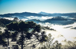 Monte Verde3